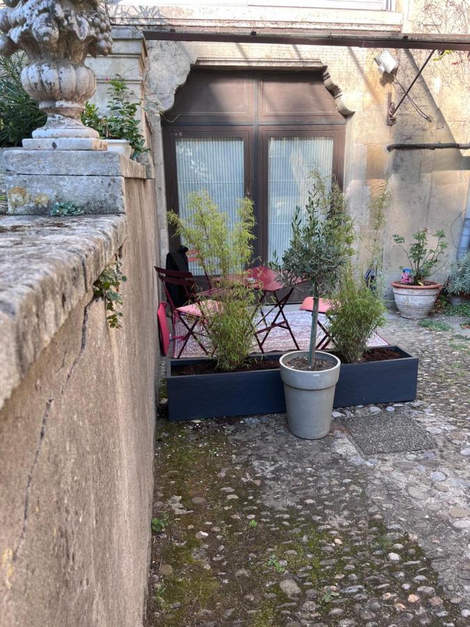 Salut Le Petit Gite カルカソンヌ エクステリア 写真